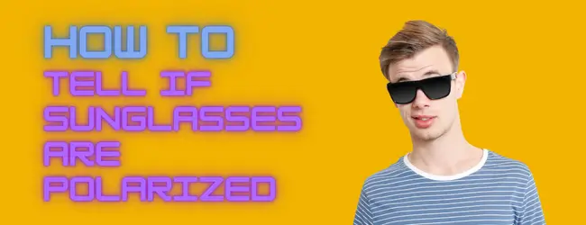 How to Tell If Sunglasses Are Polarized - Content